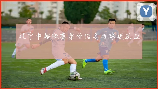 辽宁中超联赛票价信息与球迷反应